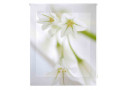 Orquideas-blancas-zen-Z-128020