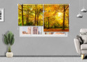 2-fe-estor-fotográfico-ambiente-arboles-bosque-otoño